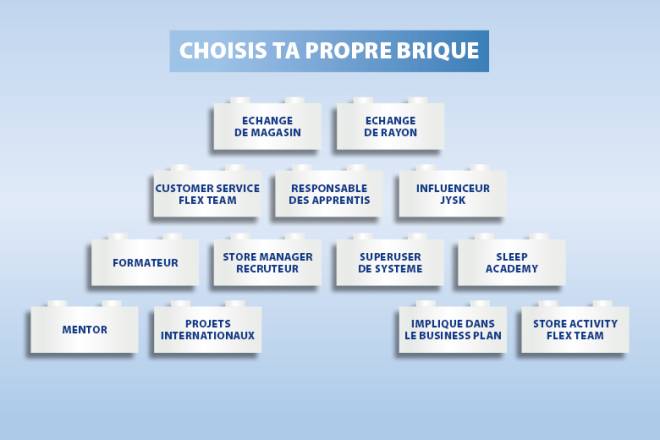 Image that shows you an overview of which bricks you can choose